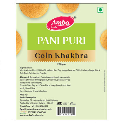 Picture of Pani Puri Coin Khakhra